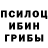 Псилоцибиновые грибы мухоморы Diego Lobo