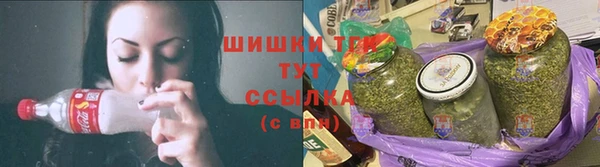 гидропоника Алзамай