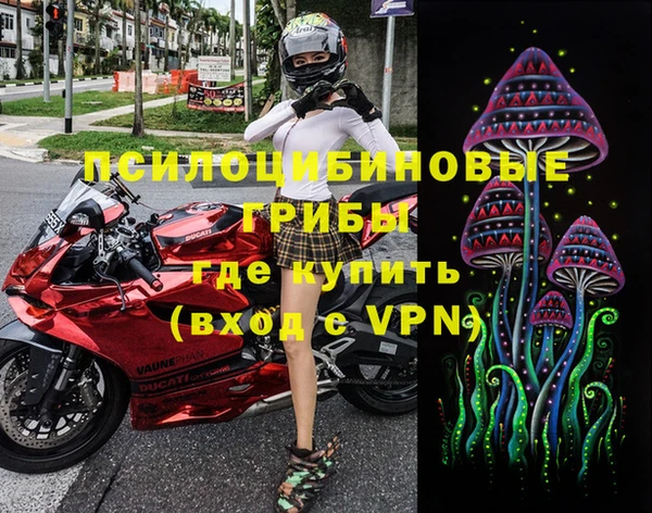 гидропоника Алзамай