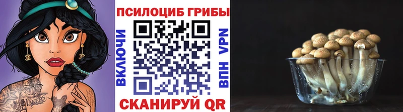 магазин продажи   Буйнакск  Галлюциногенные грибы ЛСД 